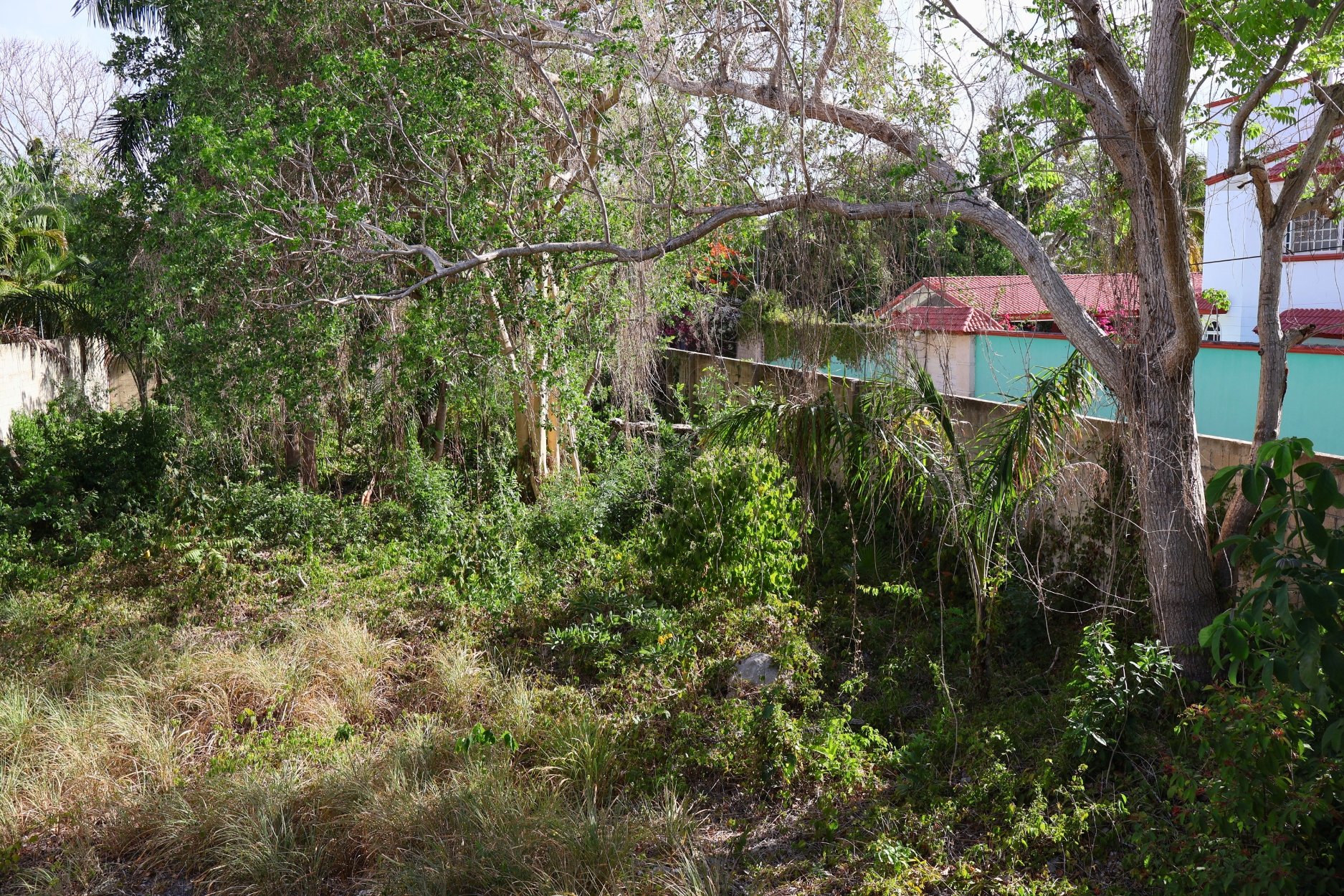 TERRENO EN VENTA – ÁLAMOS I, CANCÚN